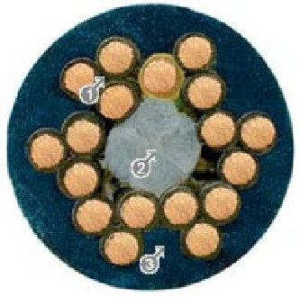 1650445335166687.png image.png